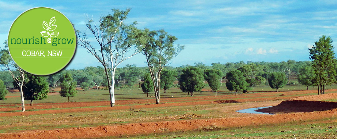 Nourish and Grow, Cobar NSW