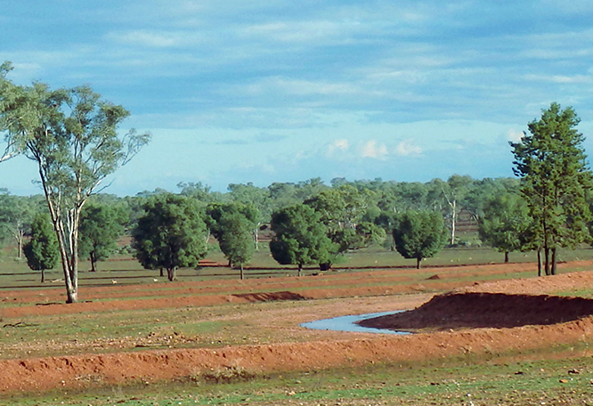 Nourish and Grow Cobar, NSW